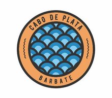 Cabo de plata